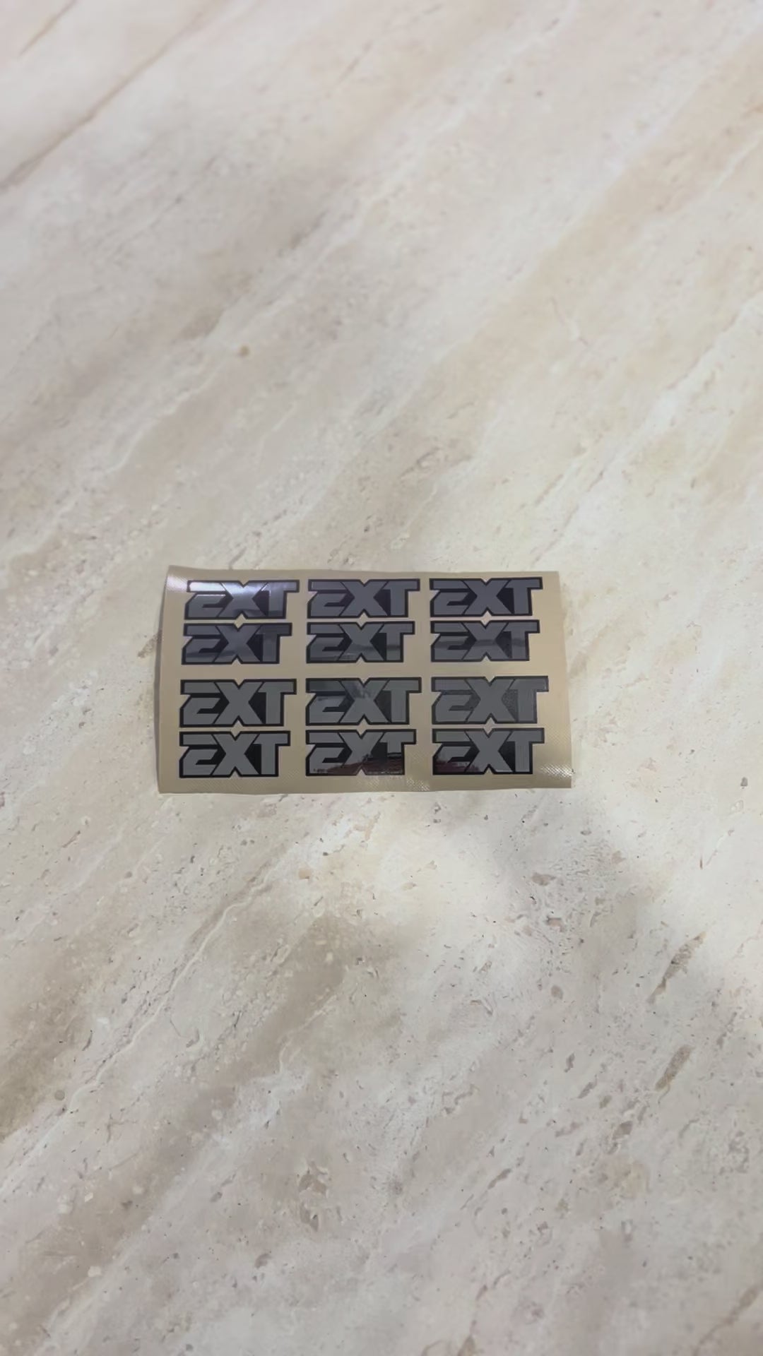 Sheet of mini EXT stickers in silver and black, twelve small decals on backing paper